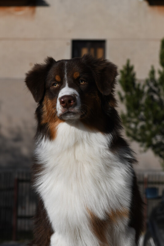 DSC_0767